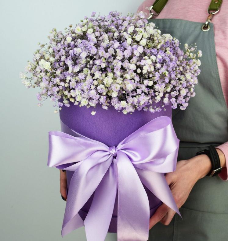 Тут эта картинка/catalog/kompozitsiya-malysharik/